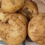 Potatoes Ilam Hardy per kg