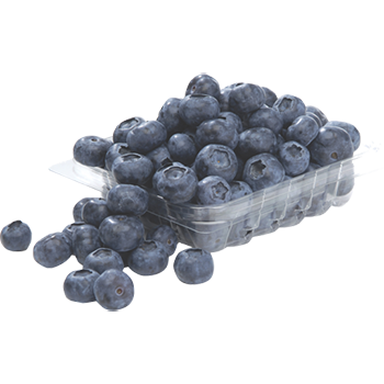 Blueberries Punnet