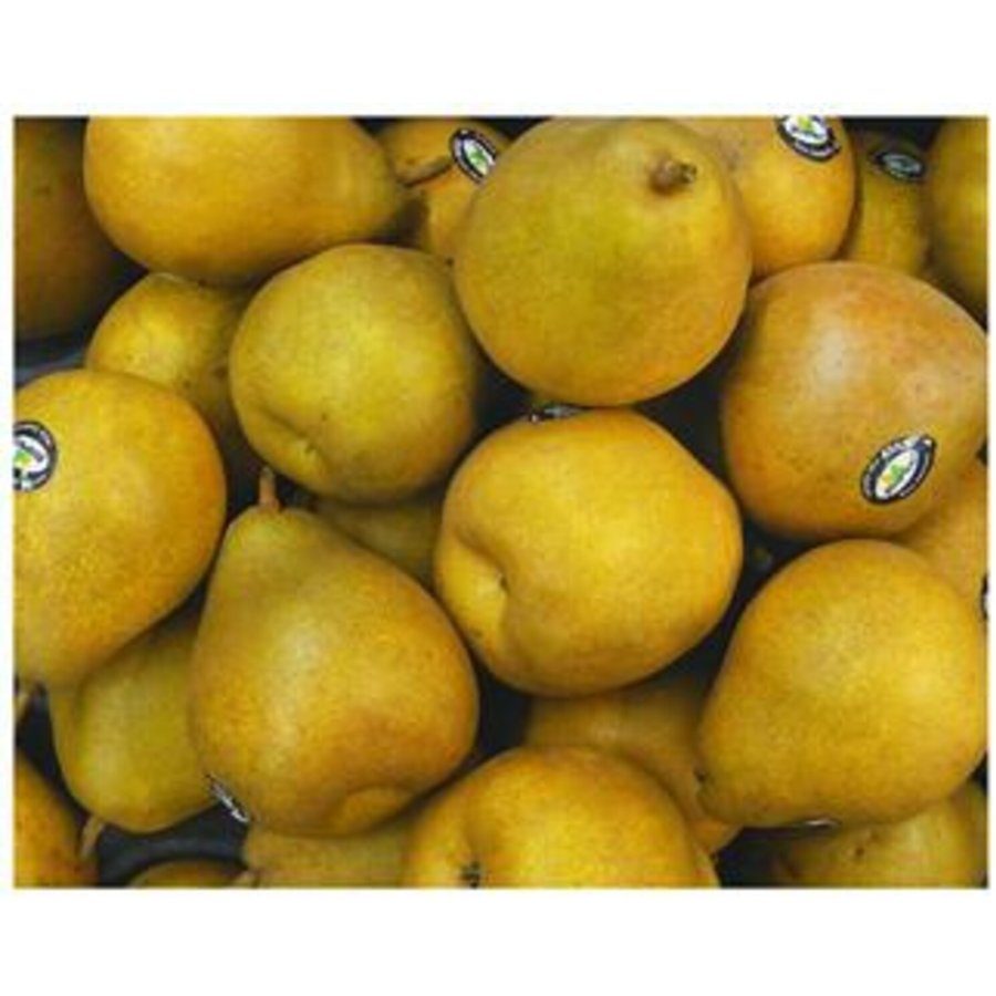 Pears Angelys per kg