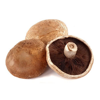 Mushroom Flat Brown kg